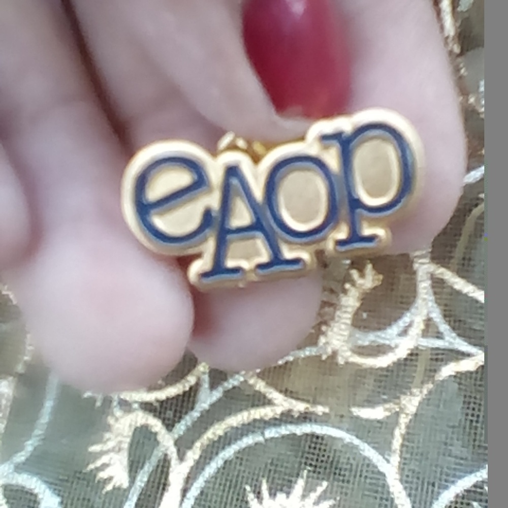 BUY ME!!! EAOP pin
